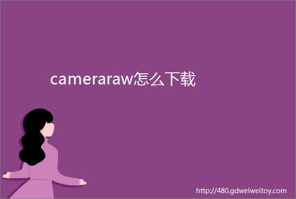 cameraraw怎么下载
